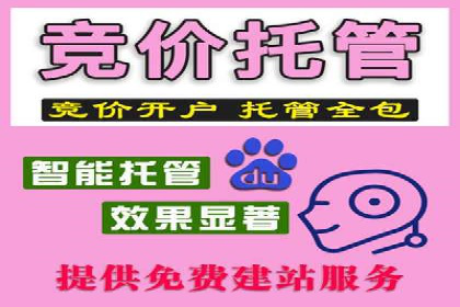 SEM运营公司案例解析：数据分析与优化